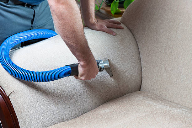 Regular carpet and upholstery cleaning not only enhances the aesthetic appeal of a space but also extends the lifespan of these furnishings by removing dirt, allergens, and stains that can contribute to wear and tear. #FactOfTheDay