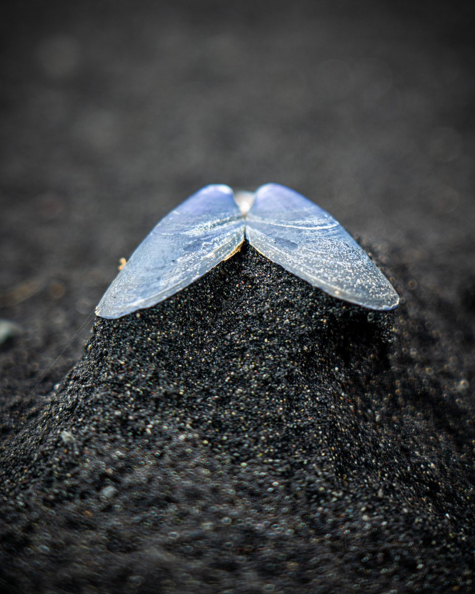 Páll Jökull | Photo guide in #Iceland tweet media