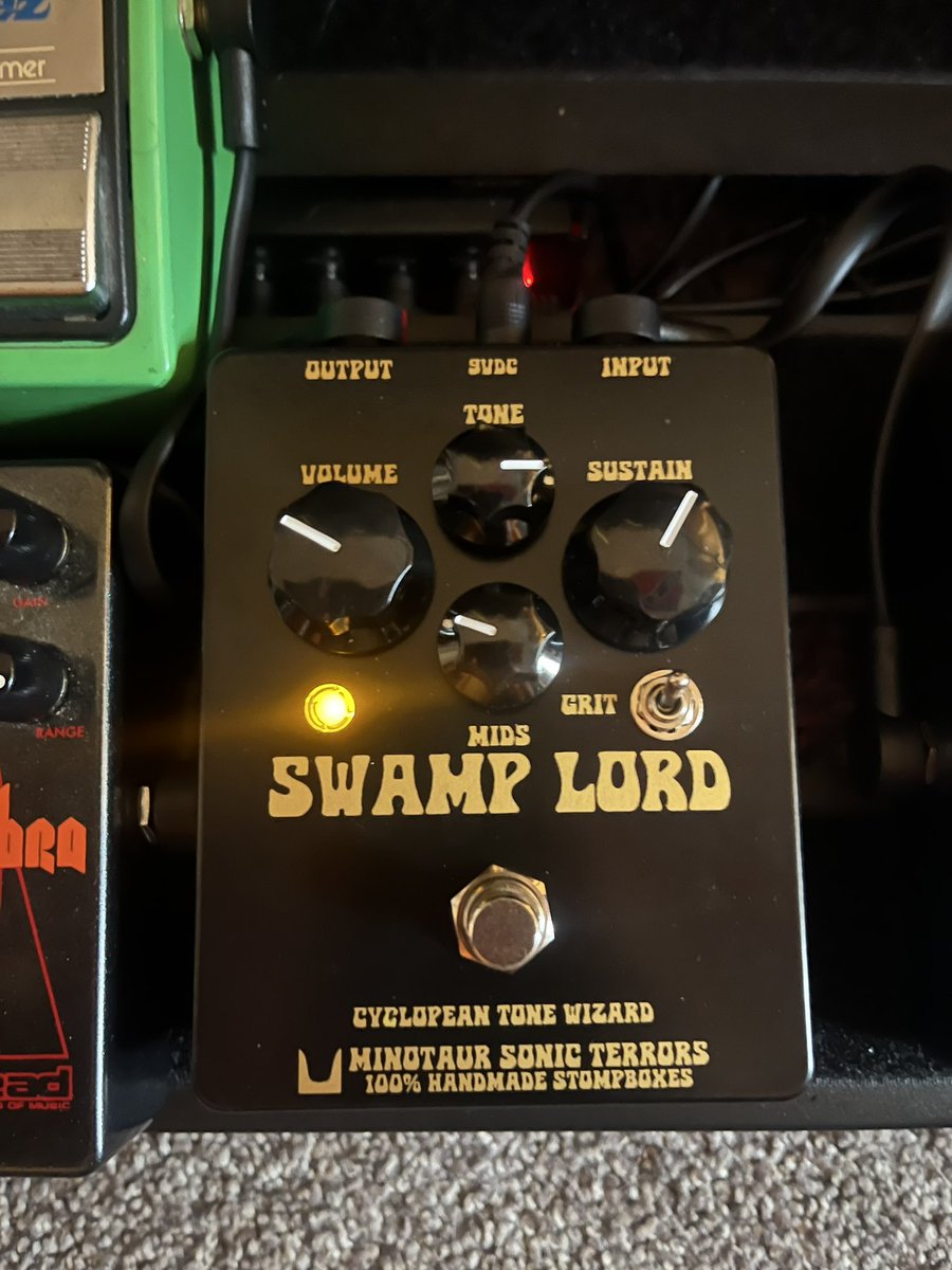 Gorillamullet tweet media