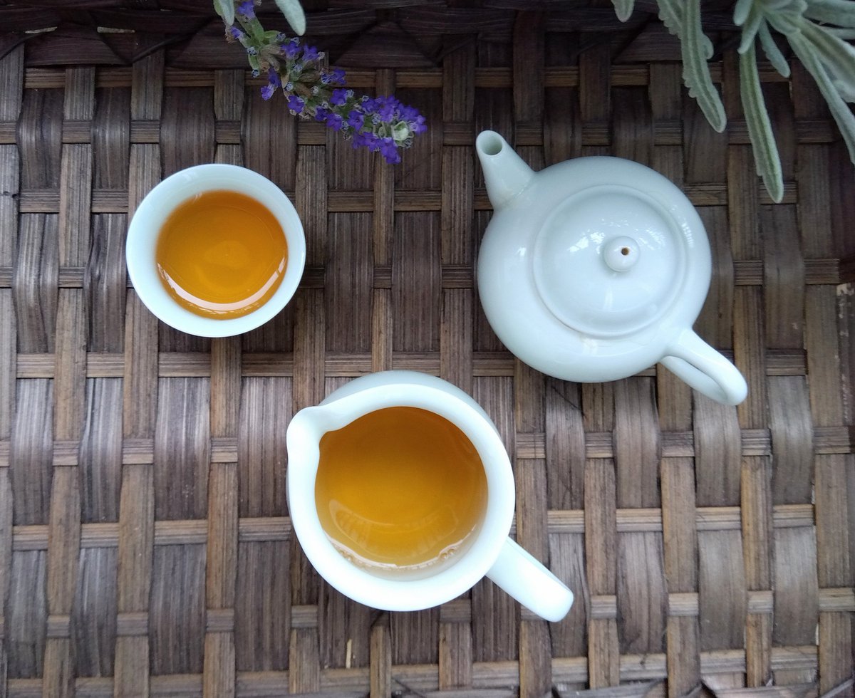 朝のお茶時間

東方美人茶
2011年のヴィンテージ

カラメルの香りと甘さ
なめらかで木質みも素敵です

#茶好連 
#木漏れ日のお茶会