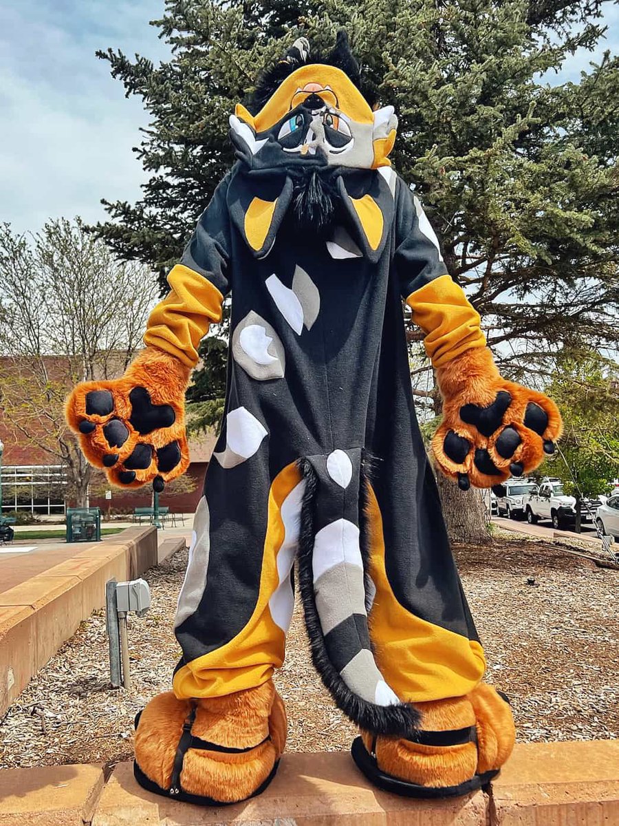 Cactus Dog Fursuits tweet media