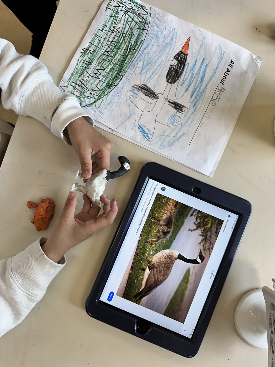 BPSHawks1 tweet media