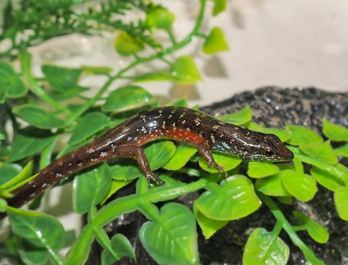 Endlesszone_エンドレスゾーン_ on X