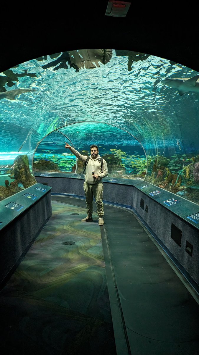 Yasser Aleed tweet media