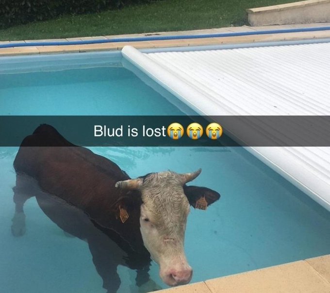 teen x (@froxxxtie) on Twitter photo 