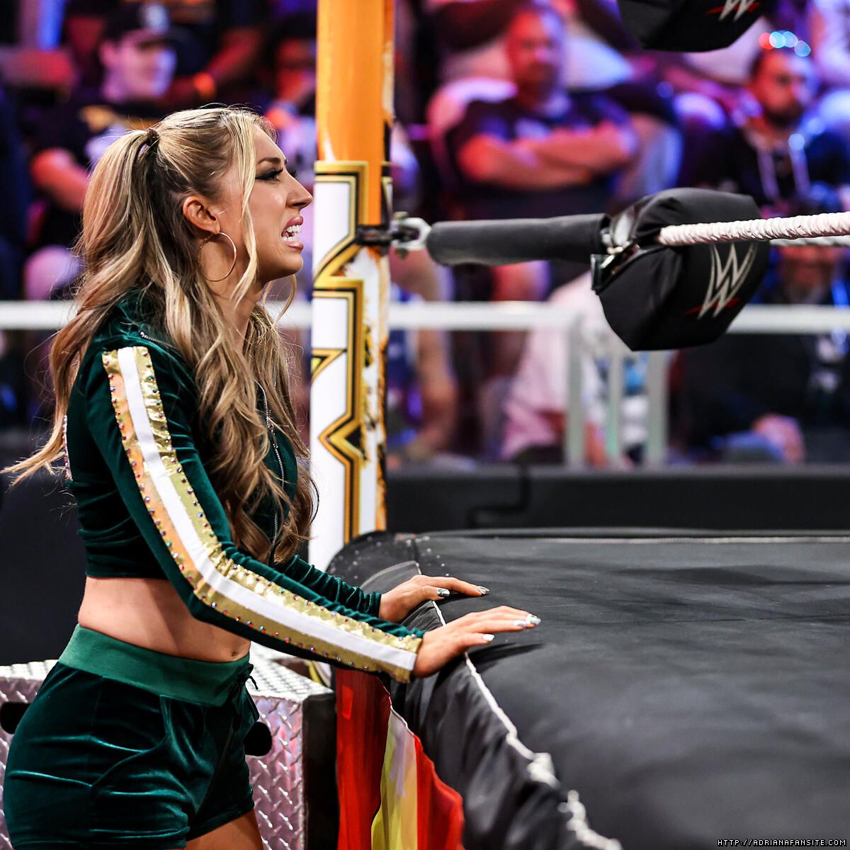 Weekly Photo!    

#AdrianaRizzo #AnnaKeefer #TheFamily #WWENXT #NXT
