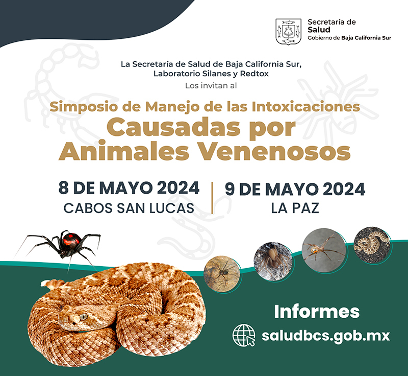 #Infórmate I Para fortalecer los servicios médicos la @SSA_BCS desarrollará un simposio sobre manejo de pacientes con intoxicaciones causadas por animales venenosos. 

📆8 de mayo en #CaboSanLucas y 9 de mayo en #LaPaz 

👉Inscripciones gratuitas en ssbcs.gob.mx