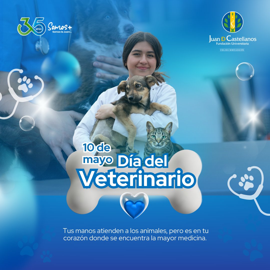 ¡Feliz Día del Médico Veterinario! 🐾🎉 Agradecemos a quienes protegen la salud animal con pasión y dedicación.

A nuestros estudiantes y graduados de Medicina Veterinaria: ¡son el orgullo de la Juan! 💙 

#SomosMásSomosLaJuan #DiaDelVeterinario #MedicinaVeterinaria