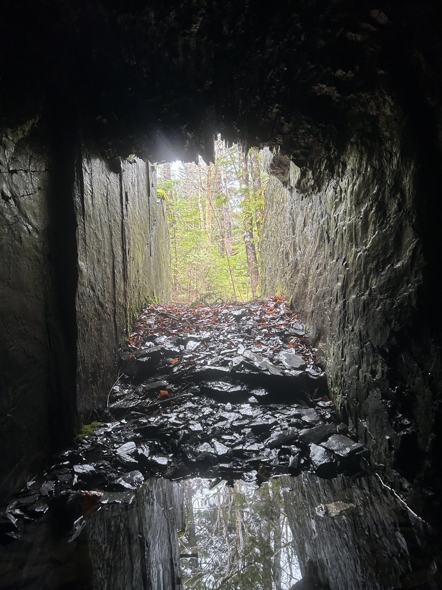 Vlog on exploring the Uniacke gold mine adit...funny thing is that years ago, I turned around within a hundred metres of it!  youtu.be/MIhlROJ6-lo #neverstopexploring #neverturnaround