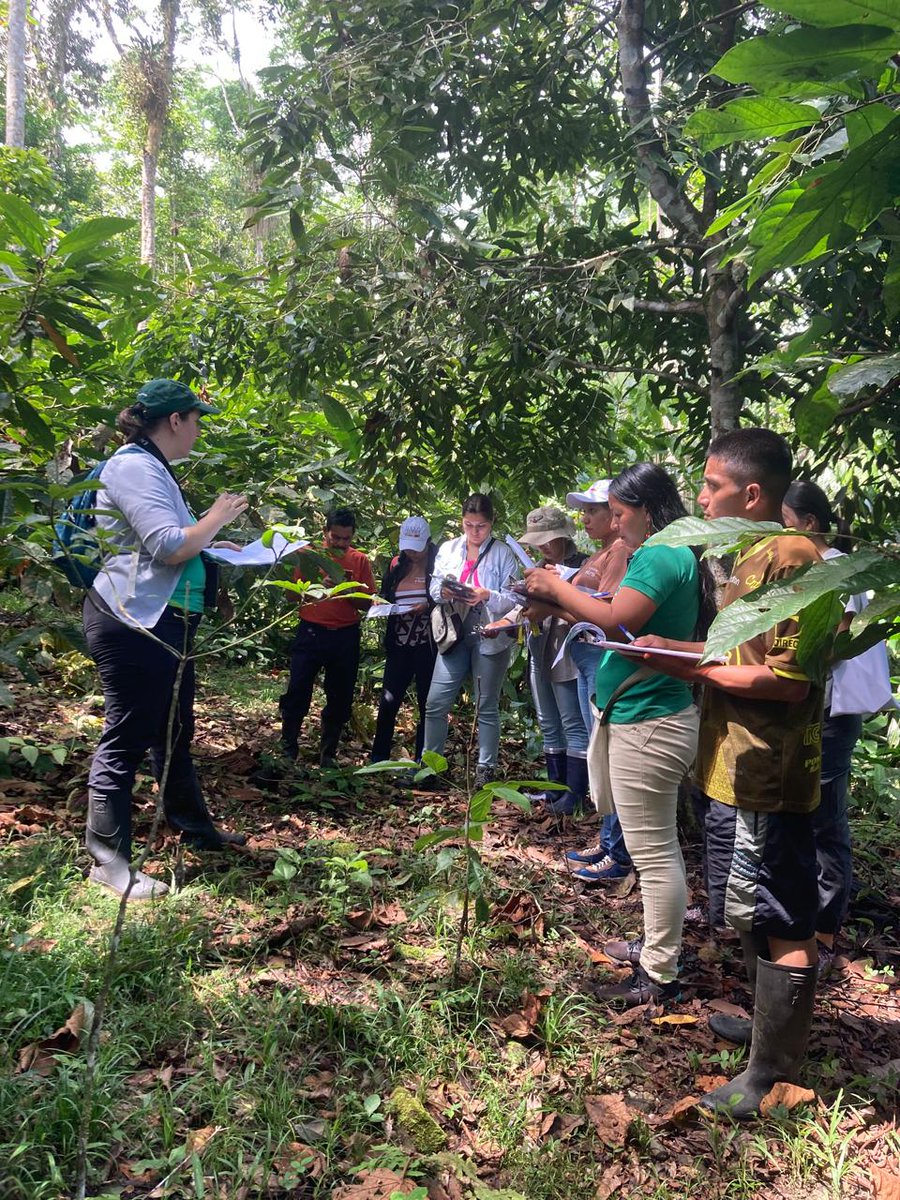 ✨Talleres sobre la 'Certificación de Cacao Amigable con las aves'

🐦Del 19 al 22 de marzo de 2024, el #FECD junto a #CorporacionChakra y #RutaChakraChocolate, llevó a cabo un evento educativo fundamental para promover la sostenibilidad en la industria del cacao.

 #BirdFriendly