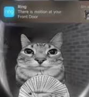 $MOTION on SOL tweet media