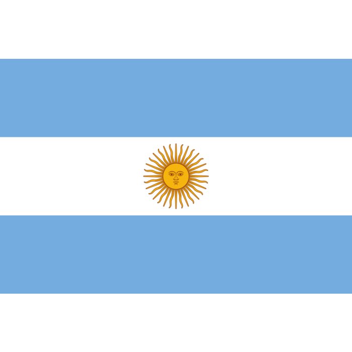 Esta es mi bandera. No otra 🇦🇷🇦🇷🇦🇷 #Argentina #LaPatriaNoSeVende #MileiCagon #MileiVendePatria