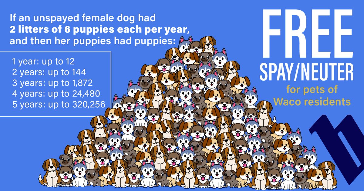 If an unspayed female dog had 2 litters of 6 puppies each per year & then her puppies had puppies, after 5 years, we'd have up to 320,356 puppies running around Waco.

That's A LOT of puppies!

Do your part in decreasing the stray population and spay/neuter your dog!

#wacotexas