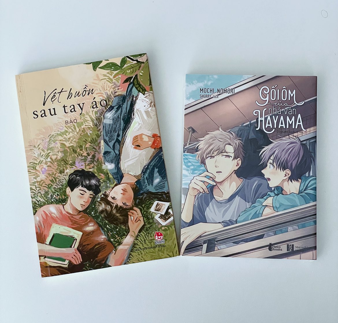 I picked up a translated BL manga and (I’m told) what’s pretty much a local BL (đam mỹ) novel in Vietnam last week!