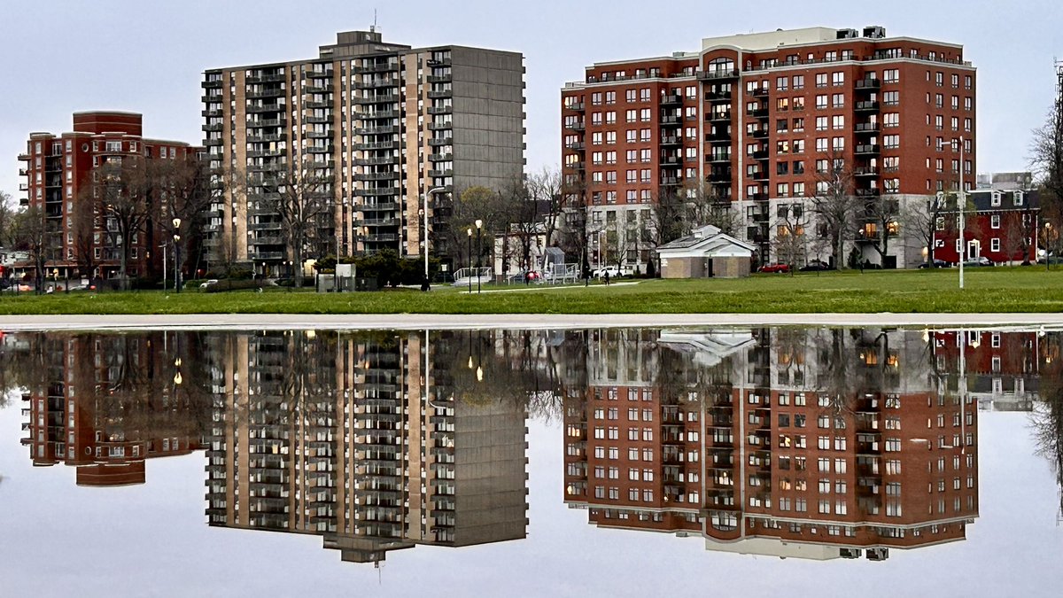 GhizPhotography's tweet photo. Seeing double ๐๐ท #HalifaxOval puddle reflections. #HalifaxCommons https://t.co/hE2jHh1HQr