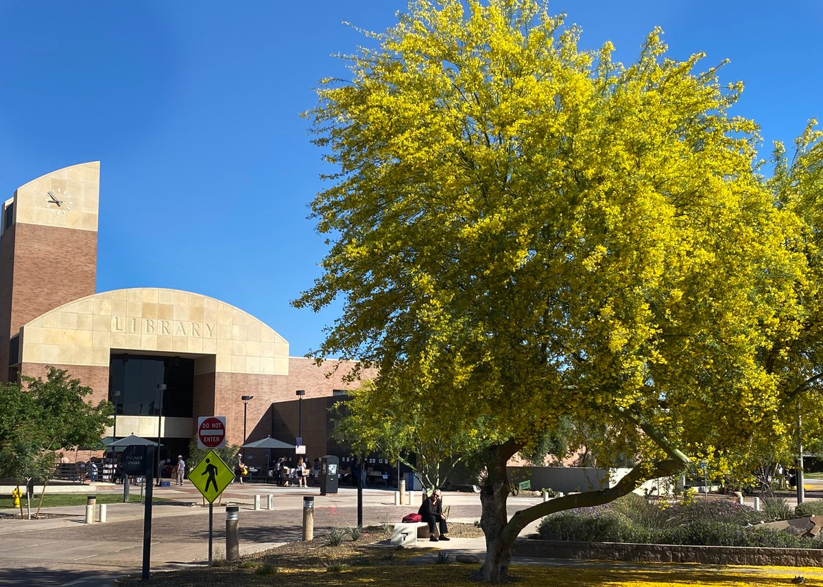 Spring sights, proposed speed limit changes, summer fun, sustainability resources and more in today's edition of Tempe This Week: mailchi.mp/tempe/tempe-th…