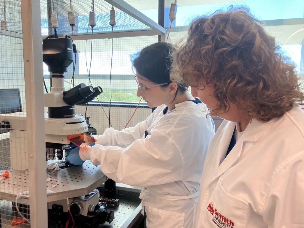 An exciting breakthrough offers hope for Long COVID patients with low-dose naltraxone helping to restore the function of ion channels in immune cells. @SonyaGradisnik @Griffith_Health news.griffith.edu.au/2024/05/07/exc…