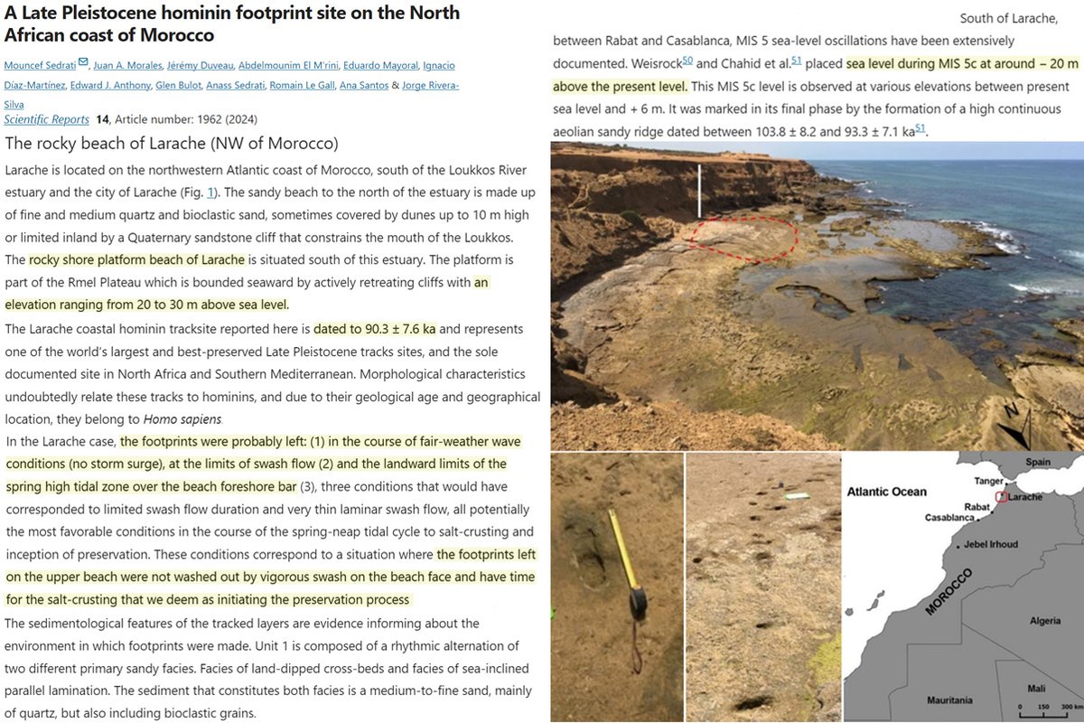 ~90,000-year-old human footprints found embedded into a rocky beach at the limit of the coast's 'swash flow' and high tide (shoreline) is 20-30 m above today's sea level. Sea levels may have been 20 m above present in this region. Sedrati et al., 2024 nature.com/articles/s4159…