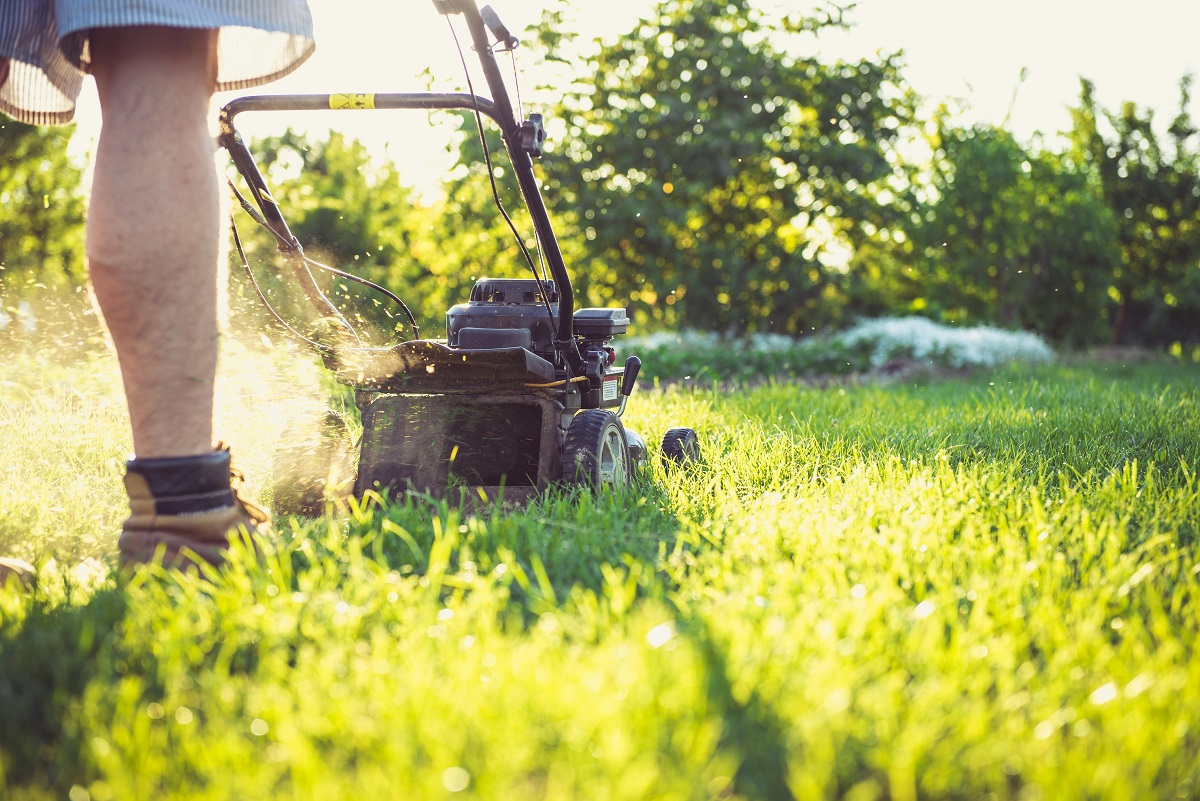 Looking for a licensed company to do chores, yardwork or other projects around your property? We have a list of businesses licensed for such work in the county on our website at: churchillcountynv.gov/.../Clean-Up-A…... #ChurchillCounty #ChurchillCountyNV