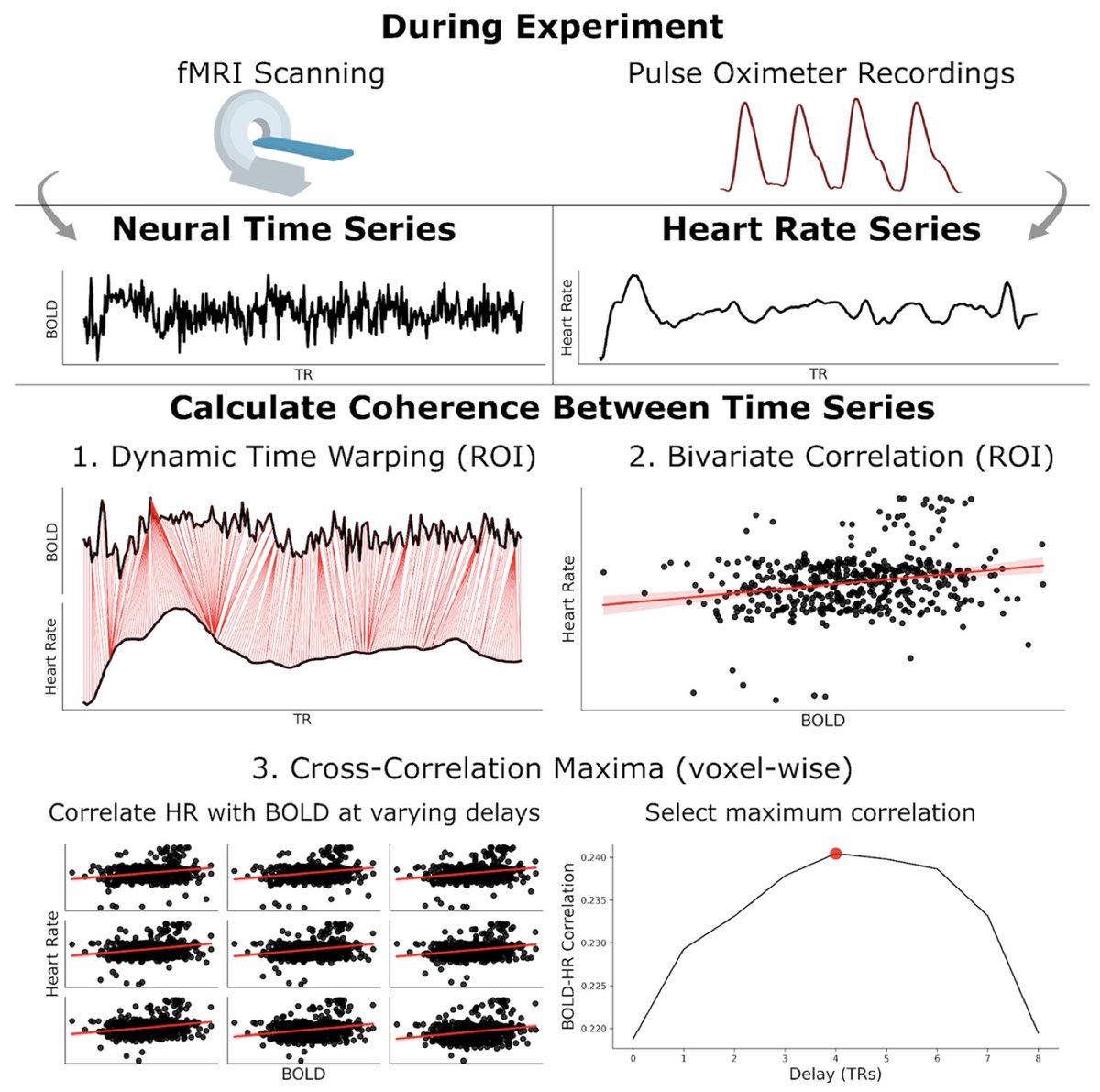 New paper in Imaging Neuroscience by Peter A. Kirk and Oliver J. Robinson: Preliminary evidence for altered brain-heart coherence during anxiogenic movies doi.org/10.1162/imag_a…
