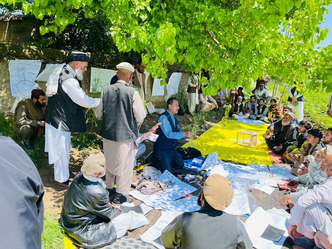.@FAOAfghanistan is uniting wheat farmers in #Parwan province through farmer field schools, fostering an exchange of experiences, skills & knowledge. Supported by @USAID, these smallholder farmers are enhancing their productivity, resilience, livelihoods & decision-making skills.