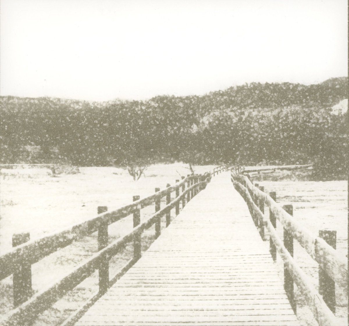 deletedimage's tweet image. gum bichromate prints