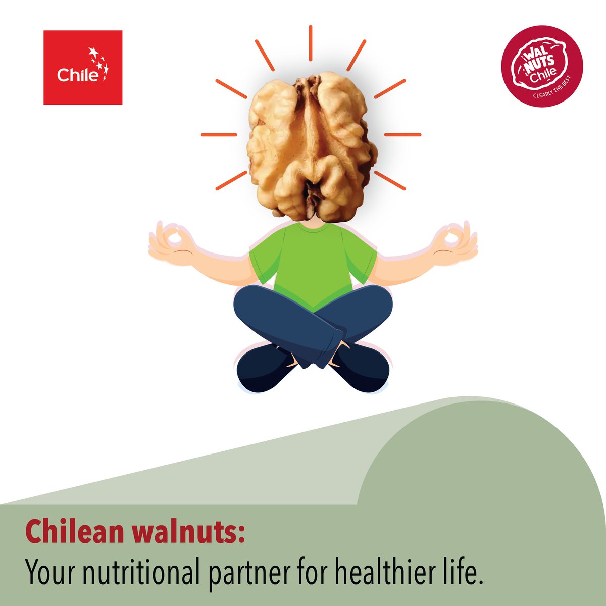 Elevate your health with Chilean walnuts, your ultimate nutritional partner.

#WalnutChile #walnuts #chileanwalnuts #ChileWalnutsIndia #brainfood #smartfood #HealthierLife #NutritionBoost