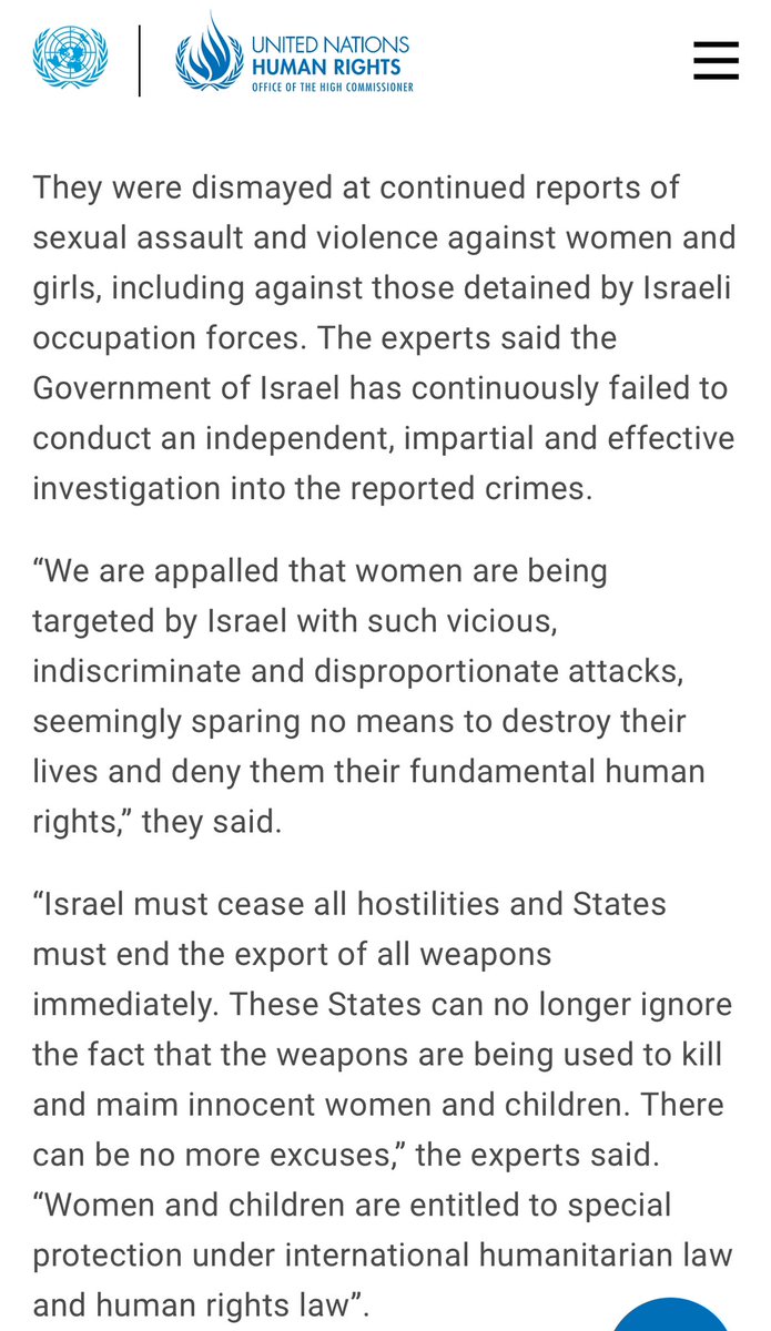 'Israel must cease all hostilities and States must end the export of all weapons immediately. These States can no longer ignore the fact that the weapons are being used to kill and maim innocent women and children. There can be no more excuses,' the experts said.