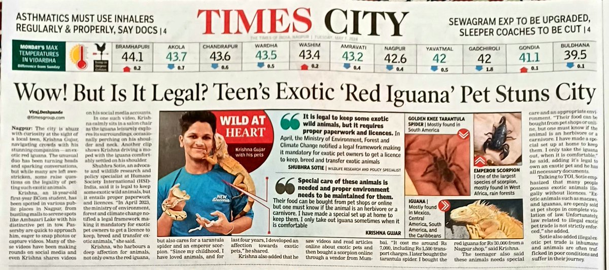 Nagpur residents are abuzz with curiosity and amazement at the sight of a local teenager parading through city streets with an eye-catching companion—an exotic red iguana. The unusual duo has been turning heads and sparking conversations wherever they go. #TOINagpur #ExoticPet