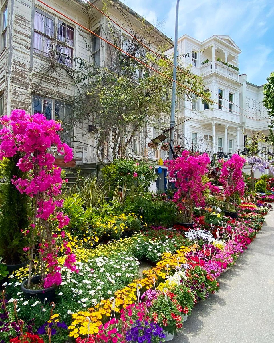 Günaydın … Heybeliada ~ İstanbul by D. Boyacı