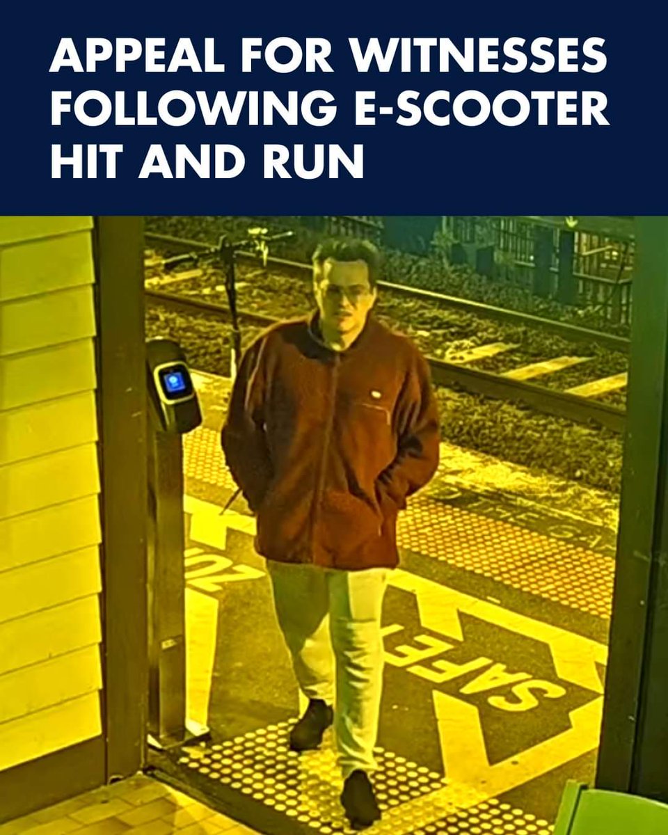 PieNorthern's tweet image. This is the... I don't even know what to call him because he is not a man! #scooterguy. C'mon Twitter/X please do your thing 🙏