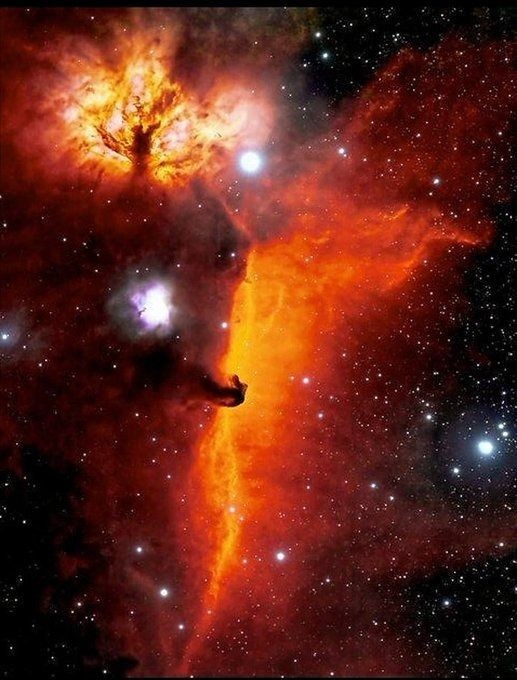 IC434 Horsehead and flame nebula by Wissan Ayoub _ astroBin twitter.com/i/flow/login?r…