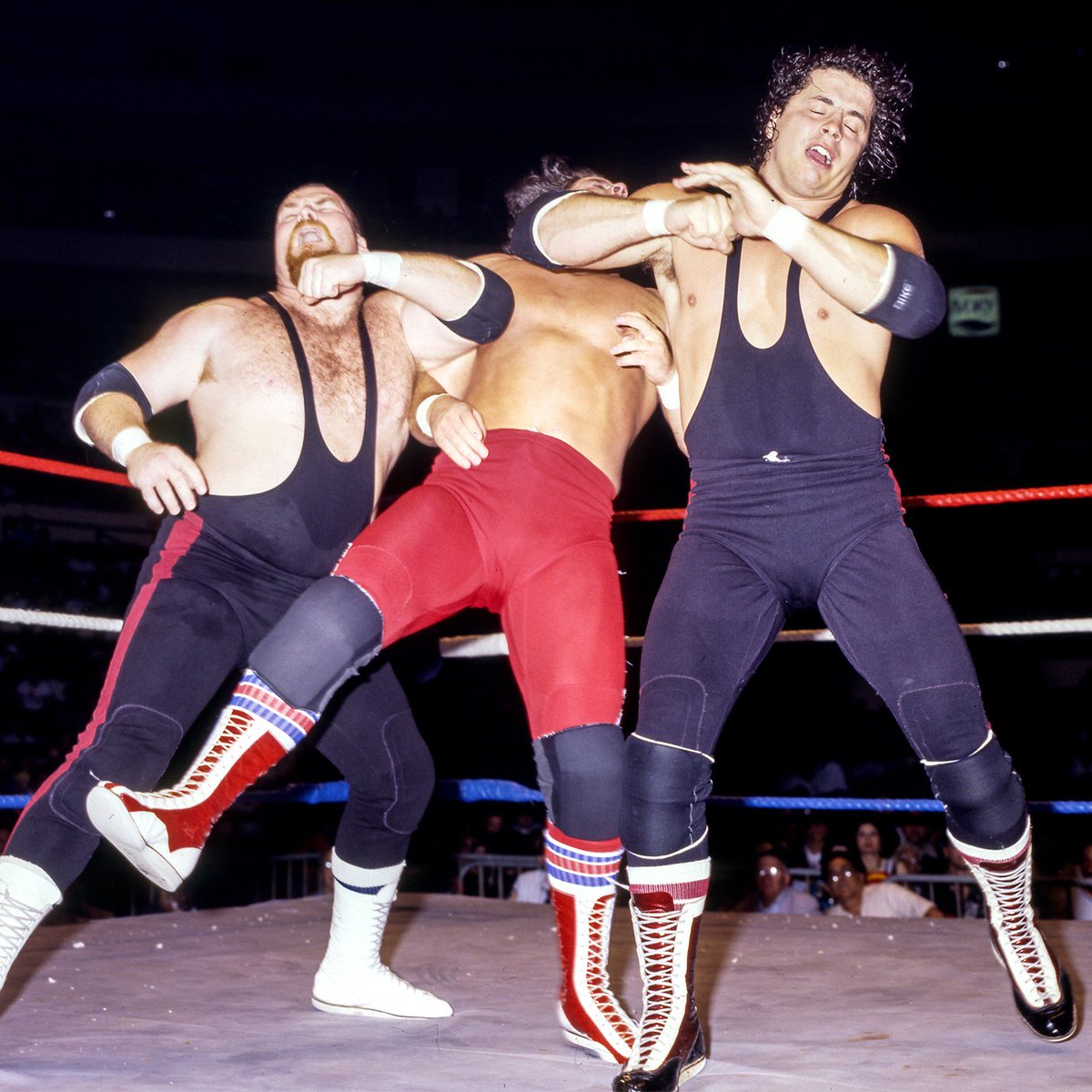📸 WWF Action Shot! #WWF #WWE #Wrestling #HartFoundation