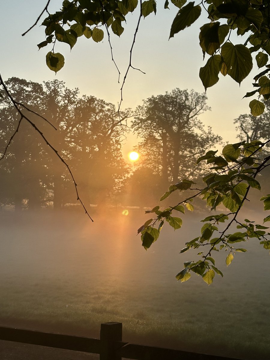 First light in the Park at ⁦@AlthorpHouse⁩ today.