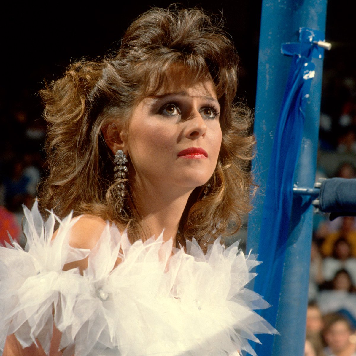 📸 Image from this day in 1988: Miss Elizabeth at ringside during 'Macho Man' Randy Savage's bout with Ted DiBiase at the Mayo Civic Center, Rochester, Minnesota. #WWF #WWE #Wrestling #MissElizabeth