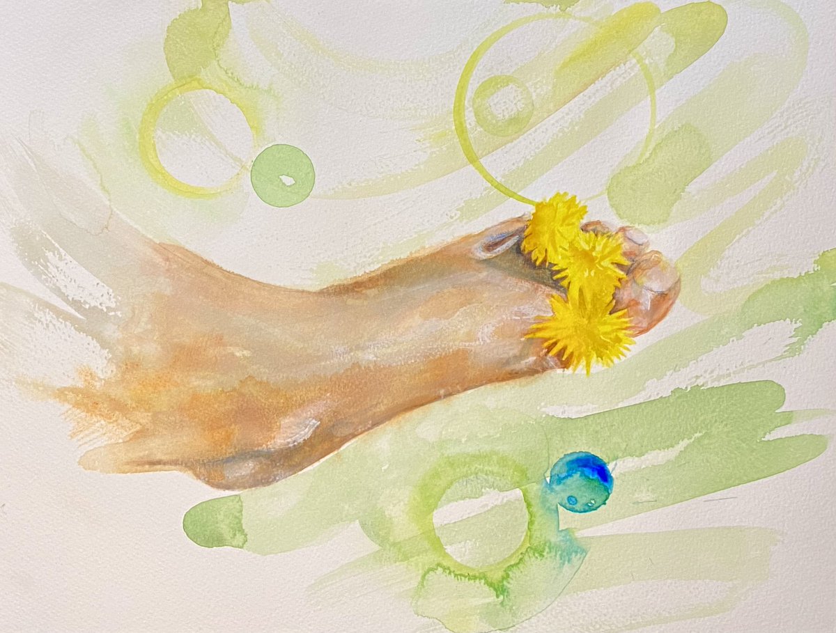 Dandelion between toes #watercolour #art #artist #czibiart #artwork #artgallery #dandelion #ArtistOnTwitter