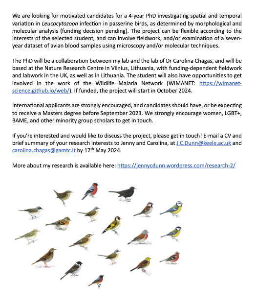 PhD studentship working with me and @crfchagas based in Nature Research Centre, Lithuania! Working on #Leucocytozoon infection in #birds with opportunities to get involved in @WIMANETscience. E-mail us any questions, application deadline 15th May #malaria #ornithology Please RT