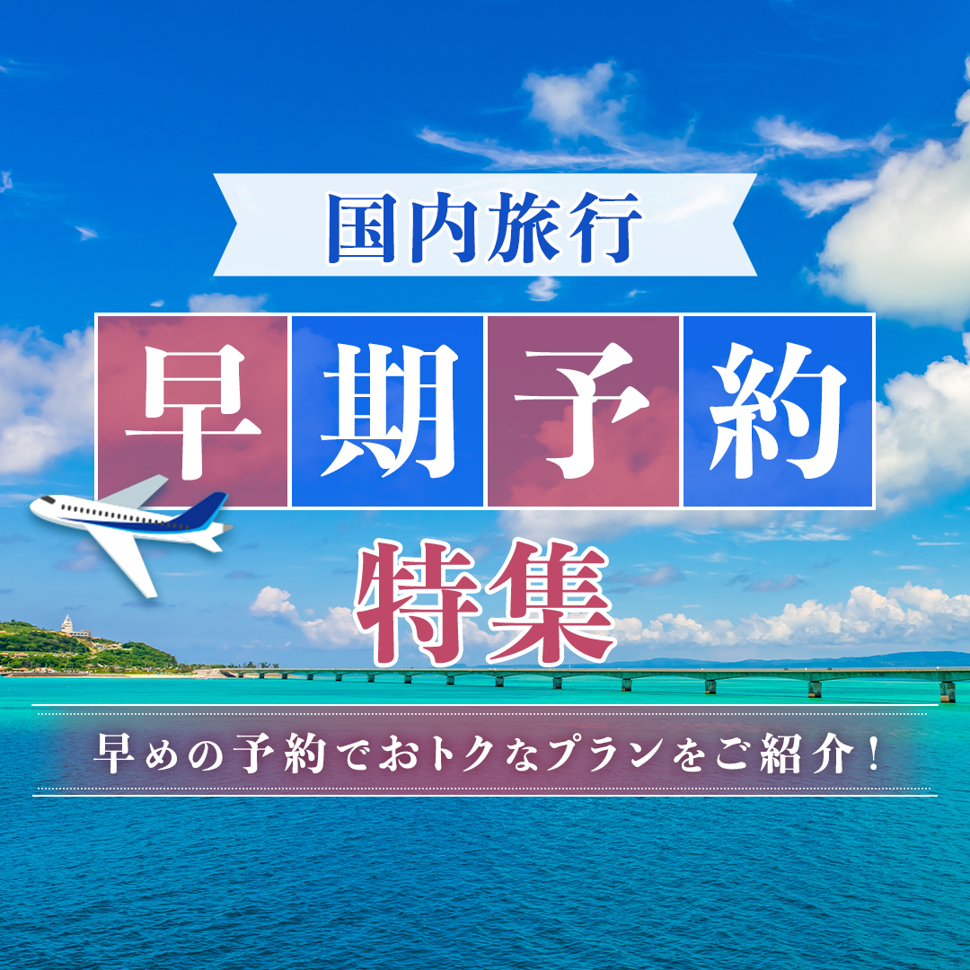 \夏旅行のご予約は今から☀️/ ana.ms/3wpDqtQ 航空券＋宿泊は早トクプランをご用意💨 「ツアーマイル」と「フライトマイル」がダブルで貯まる✈️ 宿泊のみ（#ANA トラベラーズホテル）は #SUPERVALUE プランをご用意‼️マイルが貯まる🪙使える😁 おトクな特典が付いたプランもご用意‼️