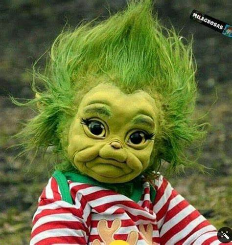 robinmuirhead's tweet photo. Vote for the #GreenParty 💚
We are the DustBin of UK Politics !
We take Anyone, No Morals, No Principles, No Rules just Endless Crazy Leftwing Lunacy like #NetZero #EatingBugs #Antisemitism #AnimalsFirst
#StopOil Globalist Misanthropy! Our Objective is to Destroy Your Society 👈 https://t.co/DcM0a77pIc