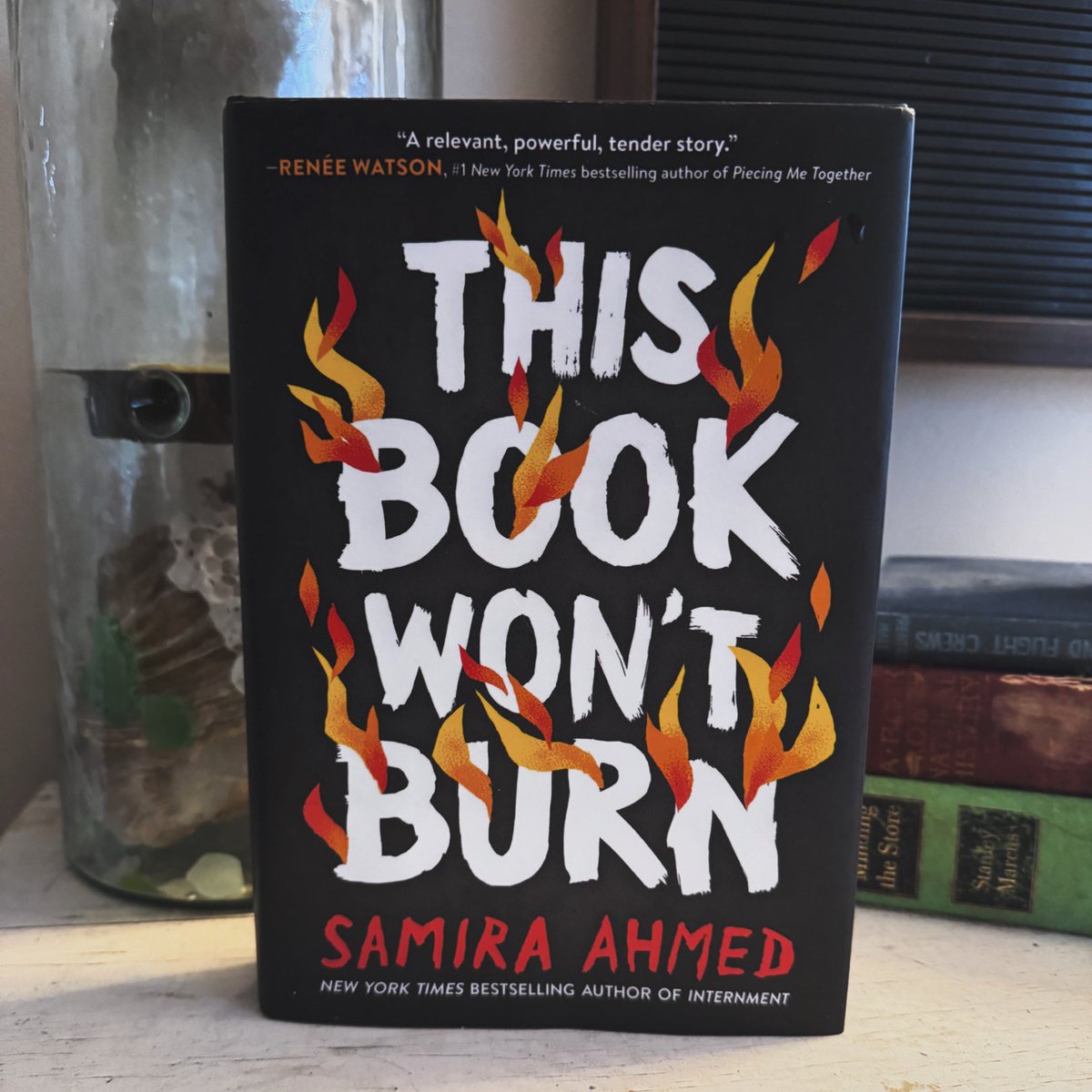 I only read 1-3 YA novels a year. I’m so glad I decided to read THIS BOOK WON’T BURN. Wow! What a powerful, important, and phenomenal story. So darn good.