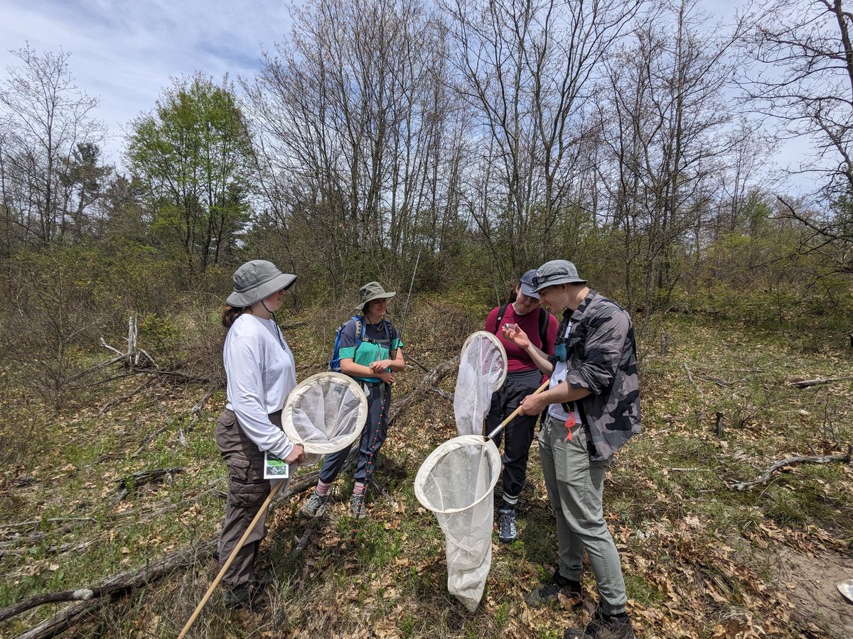 Jessica Linton tweet media