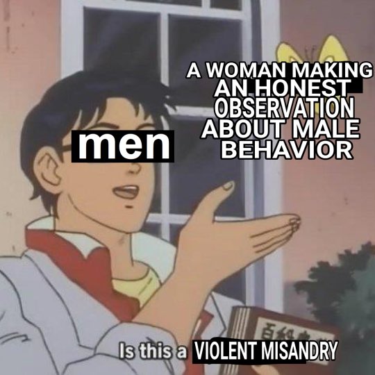 One thing that became very clear after the man vs bear convos is that men have no idea what misandry is & will do absolutely nothing to look it up.