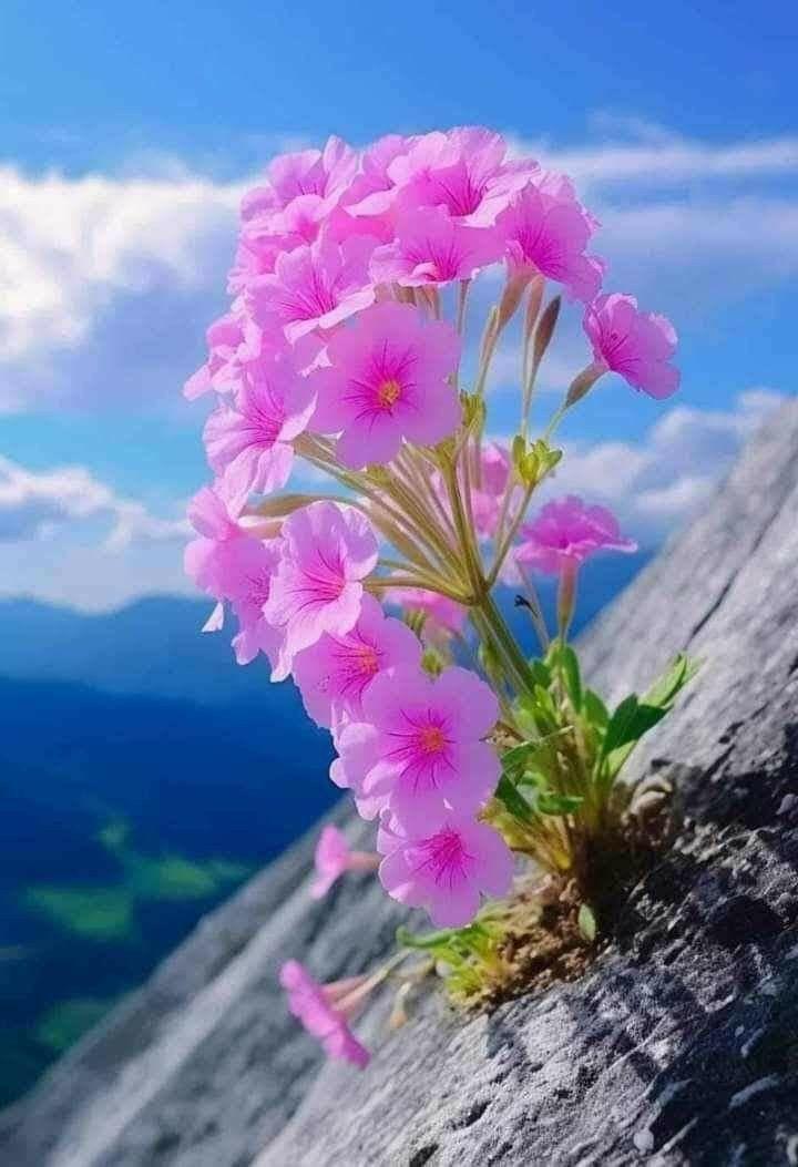 أجلس مع من يزرع فيك الأمل وتحدث مع من يجعل روحك تحلق تفاؤلا تحاور مع من تسعد بقربه وتنتعش روحك بجواره أبحث عنهم وأشتري رفقتهـم فجمال الحياة بمن تصاحب

أسعد الله قلوبكم الطيبه