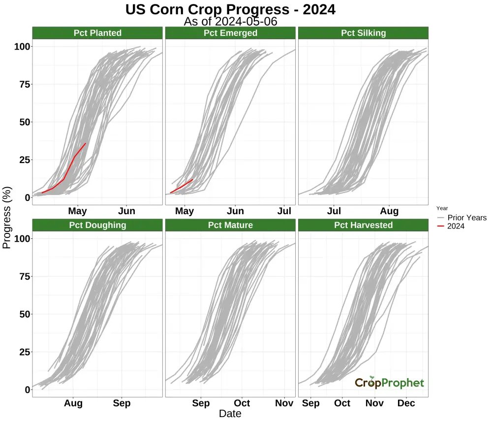 The noticeable change in the slope of the 2024 US #corn planted progress line means planting is delayed.