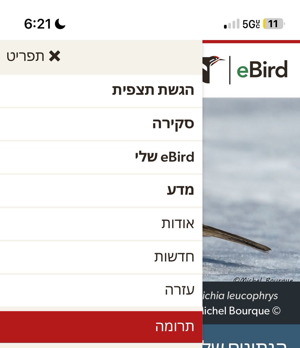EBIRD…..please😭😭😭

I don’t know what I did you you but please change back