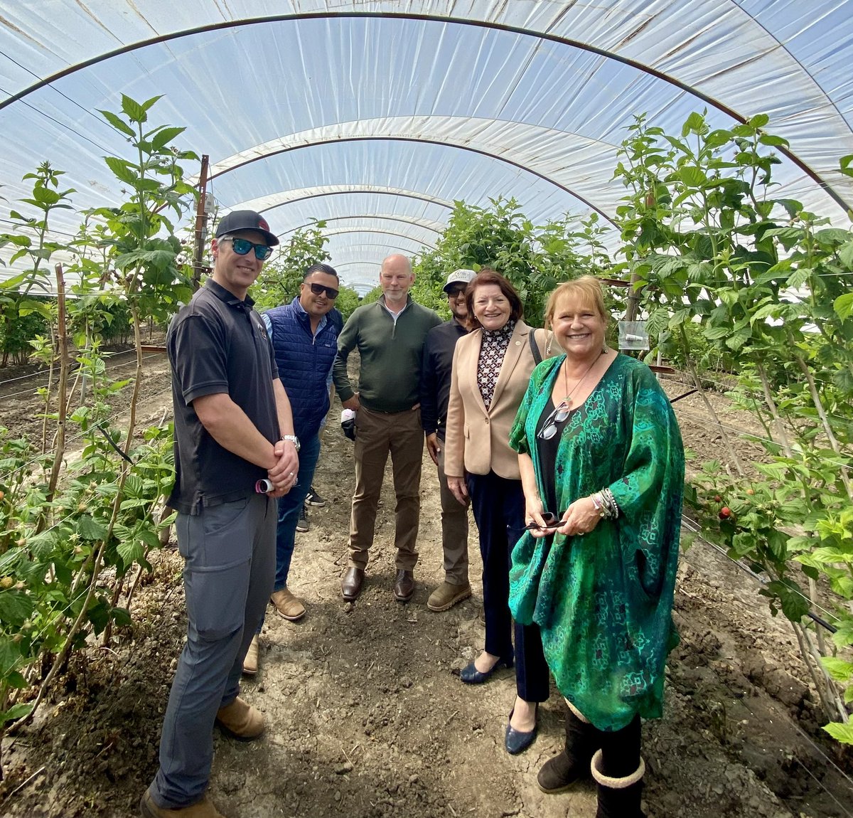 It was great to meet with farmers and tour the @driscollsberry research and development center on California’s Central Coast! These growers are an important part of California’s powerhouse agricultural industry and the local economy.