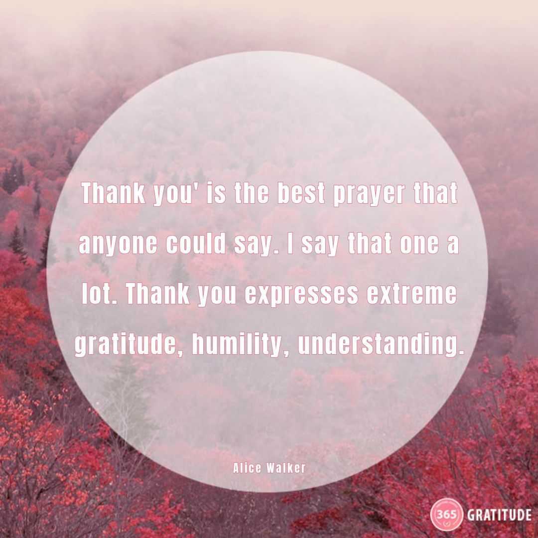 'Thank you'—a simple prayer, a powerful impact. 🙏💫 #gratitudejournal