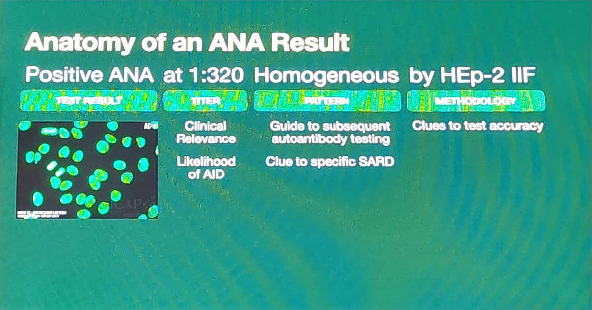 RHEUMarampa's tweet photo. ⚠️ Not all positive ANAs equate to a rheumatologic condition - @PhRheumaJr
Consider the titer, pattern &amp; methodology and importantly, correlate with clinical findings.   
#PCP2024 #MedTwitter @pcp1953 @gdyagra @lisa @doktora_ging @anzypanzywanzy https://t.co/HigmmV0285