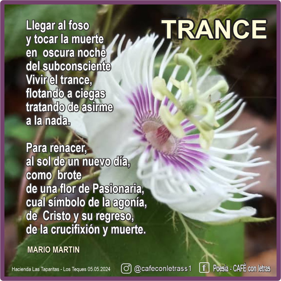 TRANCE...