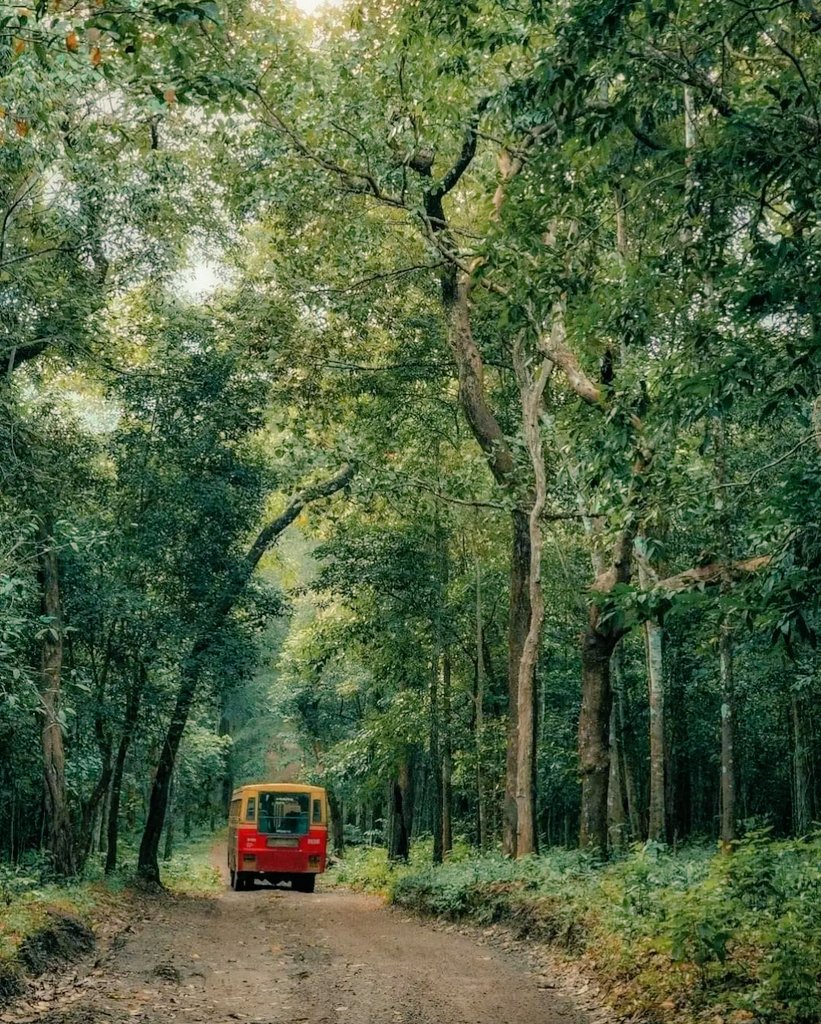 Peppara Wildlife Sanctuary , Trivandrum.